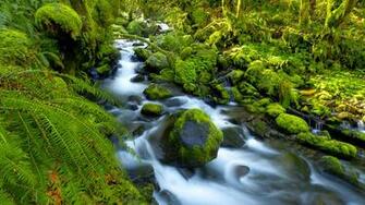 National Park HD Wallpaper