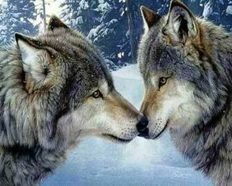Indian And Wolves Adult Size