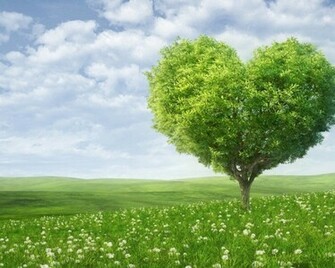 Nature Heart