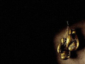 Maxalae K Wallpaper Sources Of Kickboxing