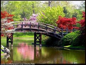 Wallpaper Spring