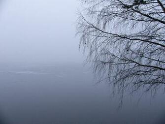 Lake Fog Wallpaper Background