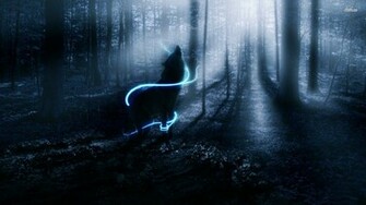 Wolf Wallpaper Lobos