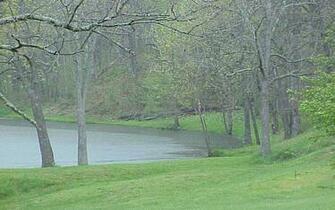 Nature Rain HD Wallpaper Check Out The