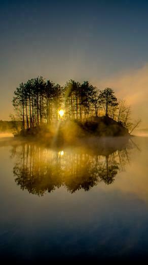 Nature Windows Phone Wallpaper