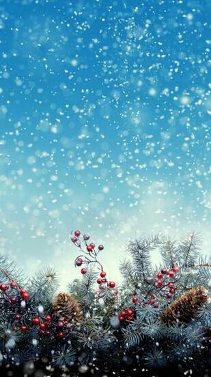 Christmas iPhone Wallpaper Sanjonmotel