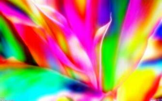 Cute Bright Colorful Background Wallpaper