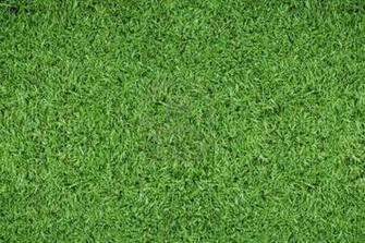 Football Field Wallpaper HD Soccer