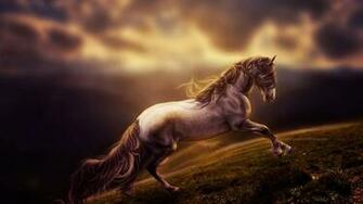 Wallpaper HD Sad Young Horse Expert