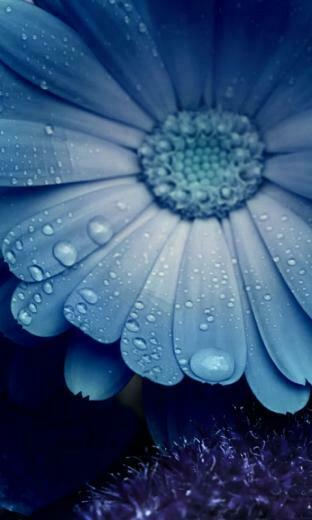 Cool Wallpaper Image Photos