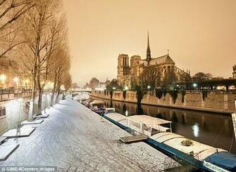 Shomei Pear Paris In Winter
