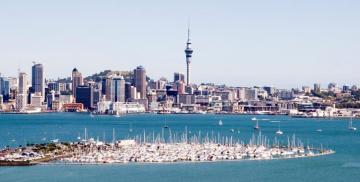 Auckland Wallpaper