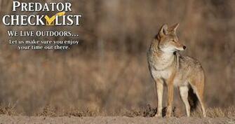 Cool Coyote Hunting Background Gander Mountain Predator