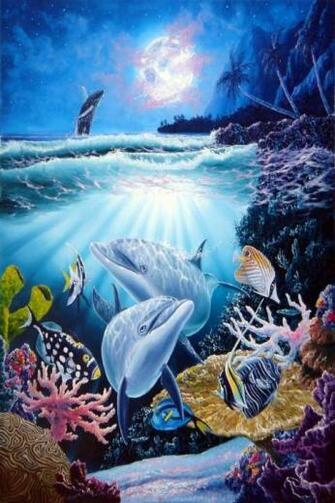 Dolphin Wallpaper 3d Android Apps On Google Play