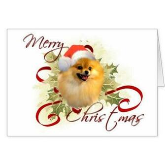 Pomeranian Christmas Card