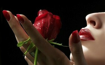 Rose Love