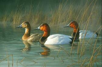James Hautman Named Ducks Unlimited Artist Of The Year
