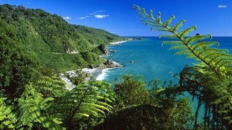 New Zealand Wallpaper Paparoa National Park
