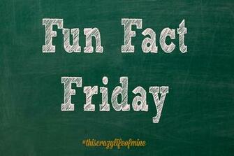 Funny Weird Facts Background Wallpaper