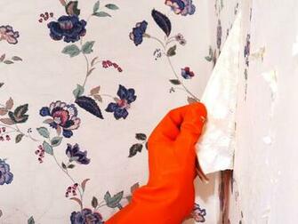 Remove Wallpaper Using Solvents Or Steam S Diy