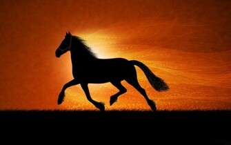 Horses HD Wallpaper And Make This For Your Desktop Tablet