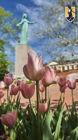 Uncg On Miss Seeing Our Beautiful Campus We Ve Got You