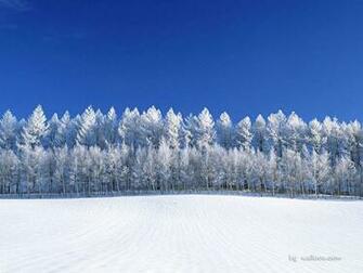 Wallpaper Vast Snowy Field Snow Covered