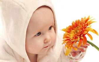 Innocent Babies Wallpaper Desktop