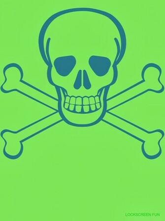 Lockscreenfun Skull And Crossbones iPad Mini Wallpaper