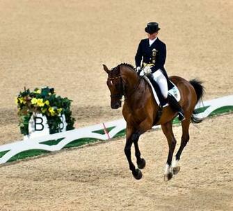 Dressage Wallpaper