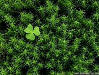 Ireland Landscape Wallpaper