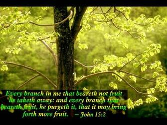 Spring Wallpaper With Bible Verses By Img Informer