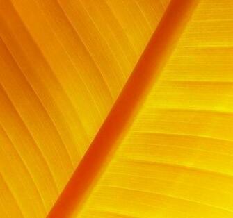 Artistic iPhone Retina Wallpaper Ios Wallpaper55 Best