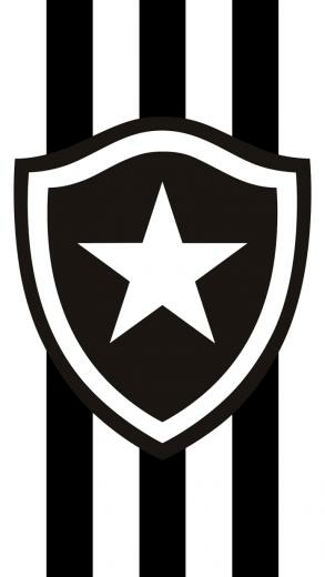 Wallpaper Do Botafogo Pap Is De Parede Pc E Celular
