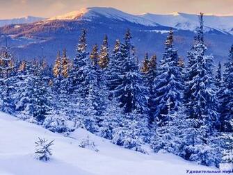 In The United States Montana Its Diameter Exceeds Cm