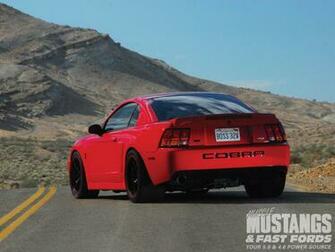 Showing Gallery For Mustang Cobra Terminator Wallpaper