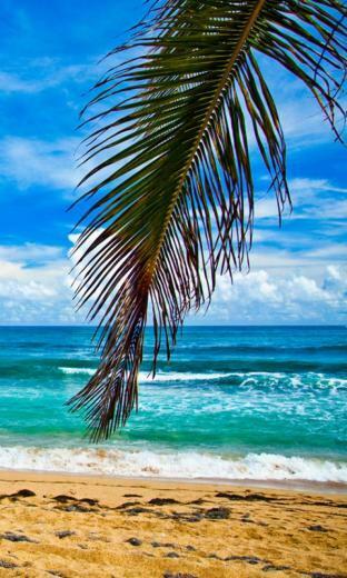 Get Summer Beach Wallpaper Microsoft Store