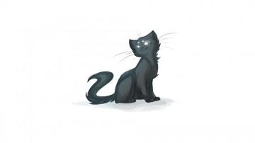 Homestuck Cat Drawing White Cats Wallpaper HD Desktop And