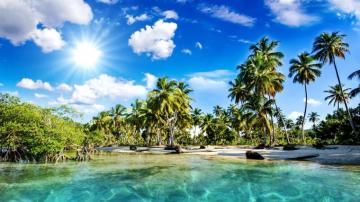 Hi Res Tropical Wallpaper Top Background