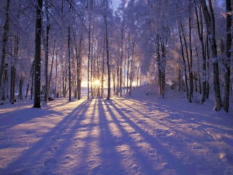 Winter Snow Desktop Wallpaper