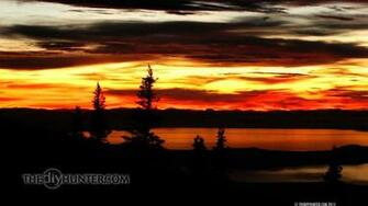 Browning Desktop Wallpaper For