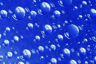 Google Terms Picasa Launch