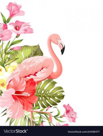 Flamingo Background Design Tropical Flowers Vector Image
