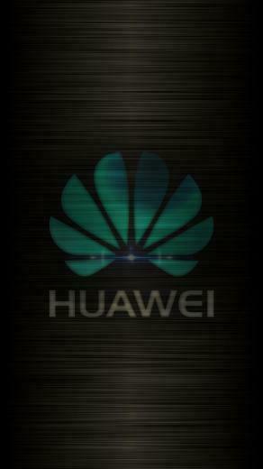 Majdy Abdulla On Beautiful Flowers In Huawei