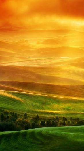iPhone Plus Wallpaper Nature