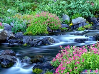 Beautiful Nature Scenery Wallpaper