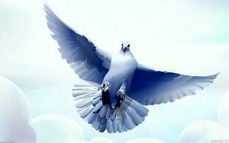White Dove Wallpaper Open Walls