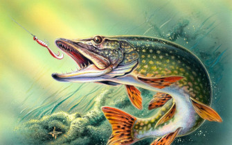 Fishing Wallpaper