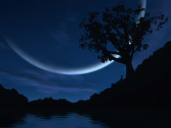 Late Night Reverie Wallpaper