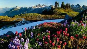 Springtime Landscape Wallpaper Background